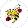 Logo Action Frelons Adriani Vastine